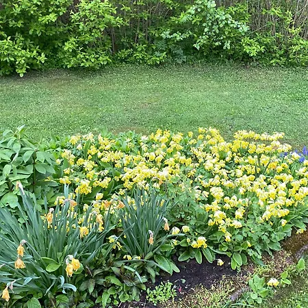 Mummon Moekki - Granny's Suonenjoki